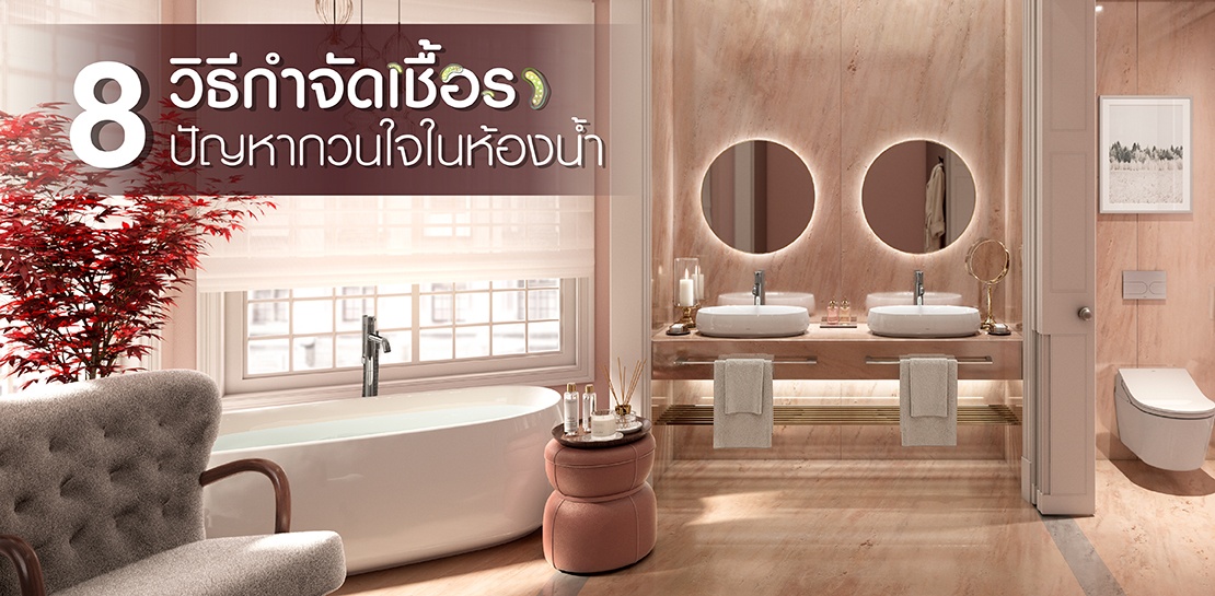 8 วิธีกำจัดเชื้อรา ปัญหากวนใจในห้องน้ำ